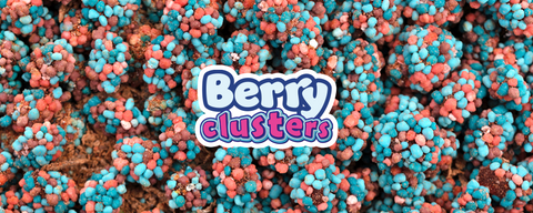 NOMS - Da Pouch - Berry Clusters - 1.6oz